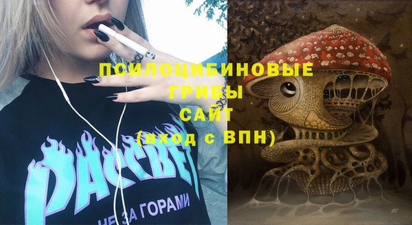 ПСИЛОЦИБИНОВЫЕ ГРИБЫ Алексин