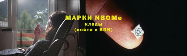 ПСИЛОЦИБИНОВЫЕ ГРИБЫ Алексин