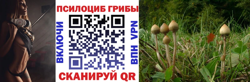 где можно купить наркотик  гидра ссылка  Галлюциногенные грибы Cubensis  Липки 